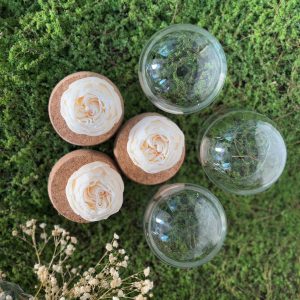 FLOWER IN GLASS DOME